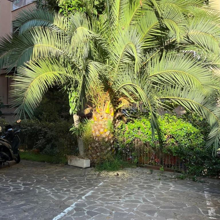 CasaCoco con posto auto e 2 bagni - Casa con 2 Camere da Letto - 35