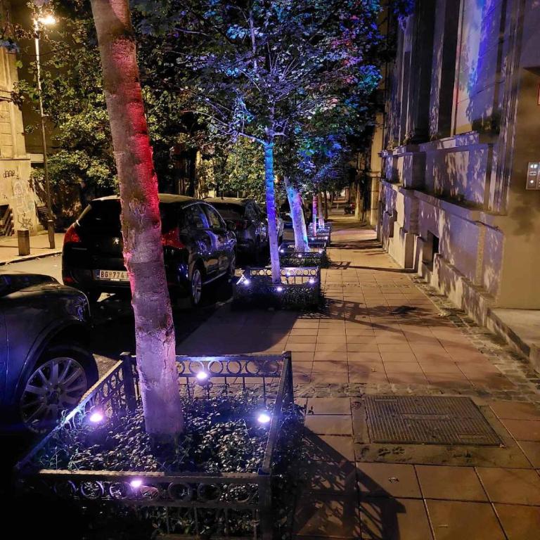 Skadarlija - Apartman sa 1 Spavaćom Sobom - 9