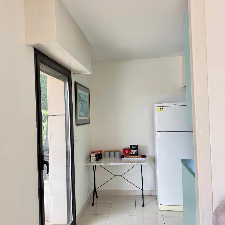 Spacious Luxury apt, 12 min walk to Croisette beach and Conf Centre - Appartement 3 Chambres - 31