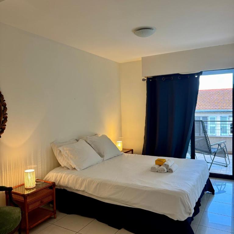 Spacious Luxury apt, 12 min walk to Croisette beach and Conf Centre - Appartement 3 Chambres - 14
