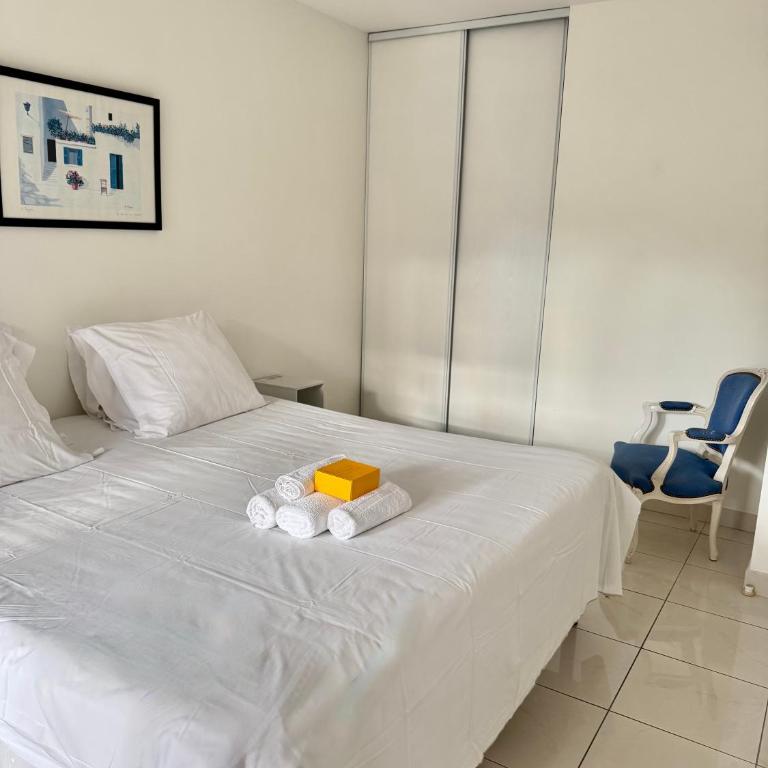 Spacious Luxury apt, 12 min walk to Croisette beach and Conf Centre - Appartement 3 Chambres - 20