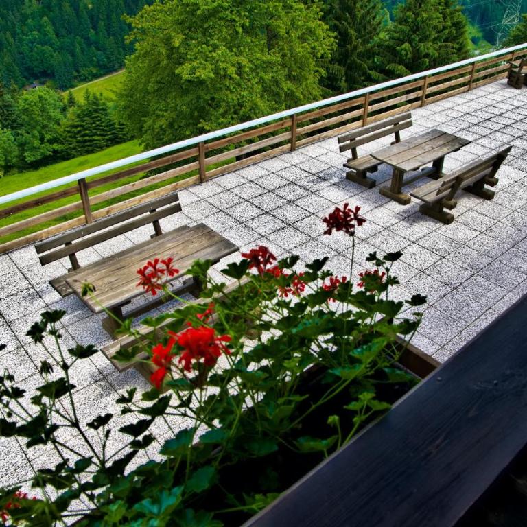 Appartements Grafhube - Ferienhaus - 10