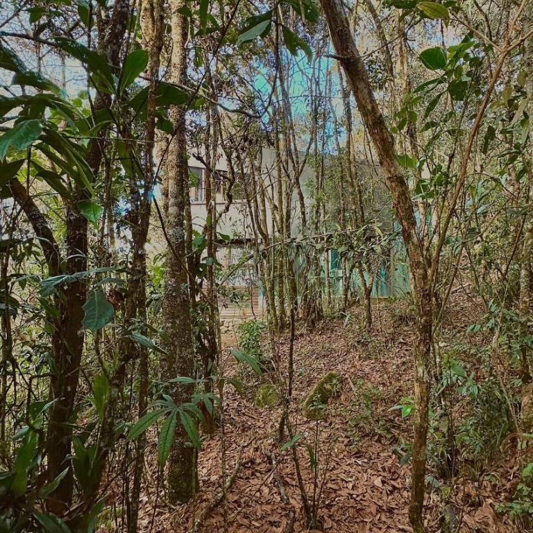 Lodge Kumbre Santa Elena Bosque Privado - Two-Bedroom House - 16