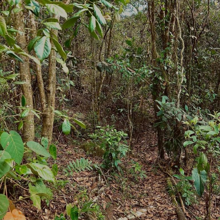 Lodge Kumbre Santa Elena Bosque Privado - Two-Bedroom House - 24