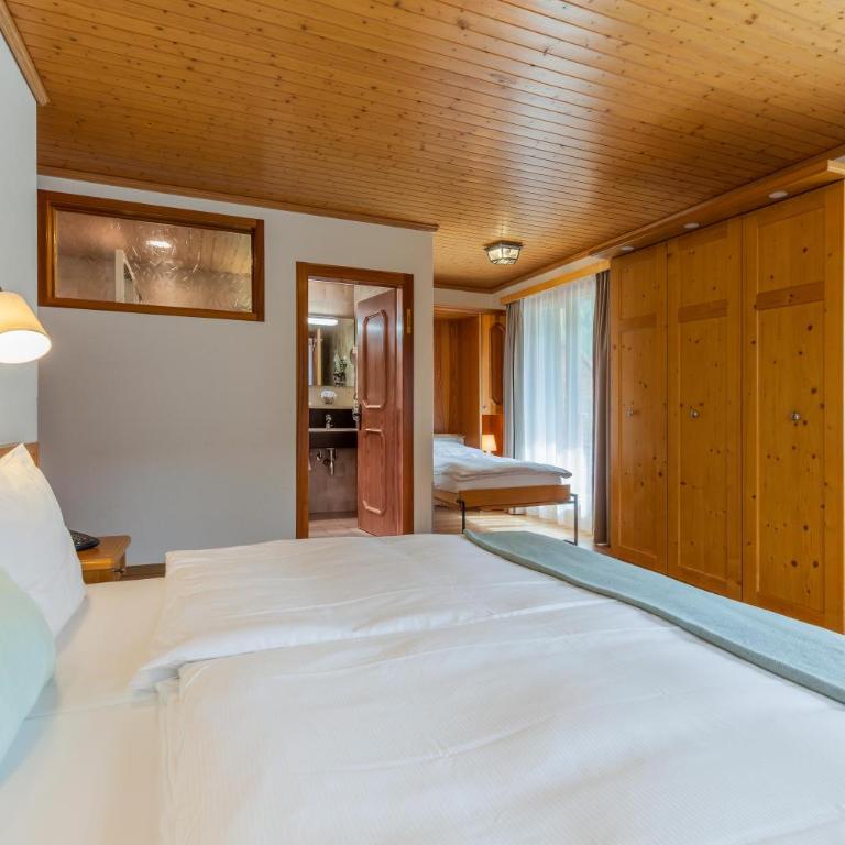 Alpenblick - Dreizimmerzimmer mit Balkon und Blick auf Matterhorn - 10