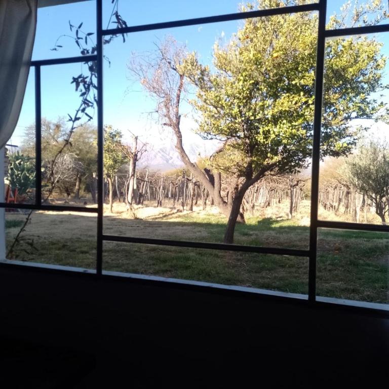Finca Las Higueras - Chalet de 2 dormitorios - 27