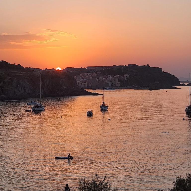La crique appartement vue clocher Collioure - Apartamento de 1 dormitorio - 16
