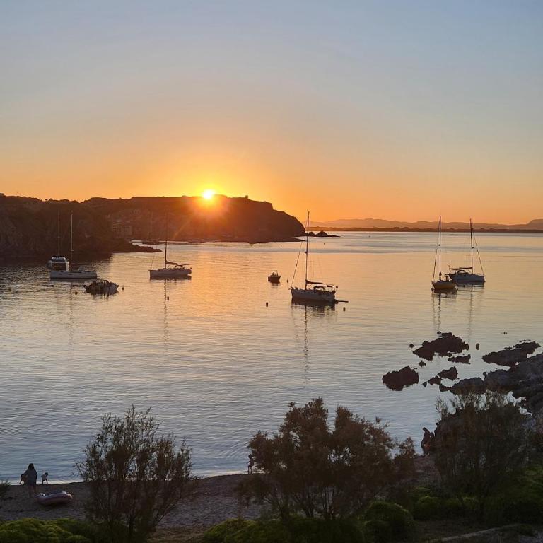 La crique appartement vue clocher Collioure - Apartamento de 1 dormitorio - 19