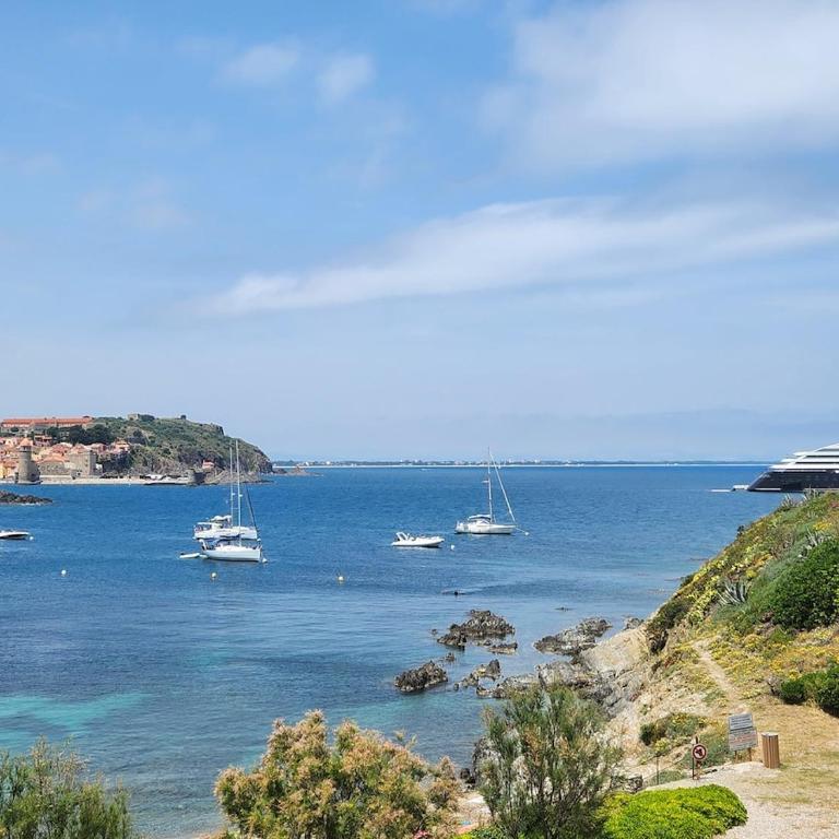 La crique appartement vue clocher Collioure - Apartamento de 1 dormitorio - 15