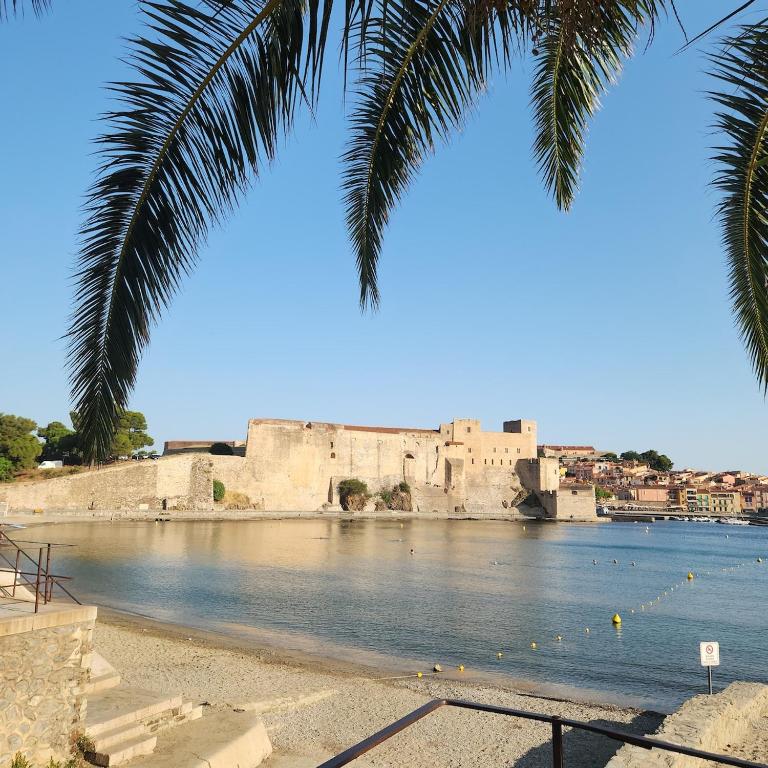 La crique appartement vue clocher Collioure - Apartamento de 1 dormitorio - 28