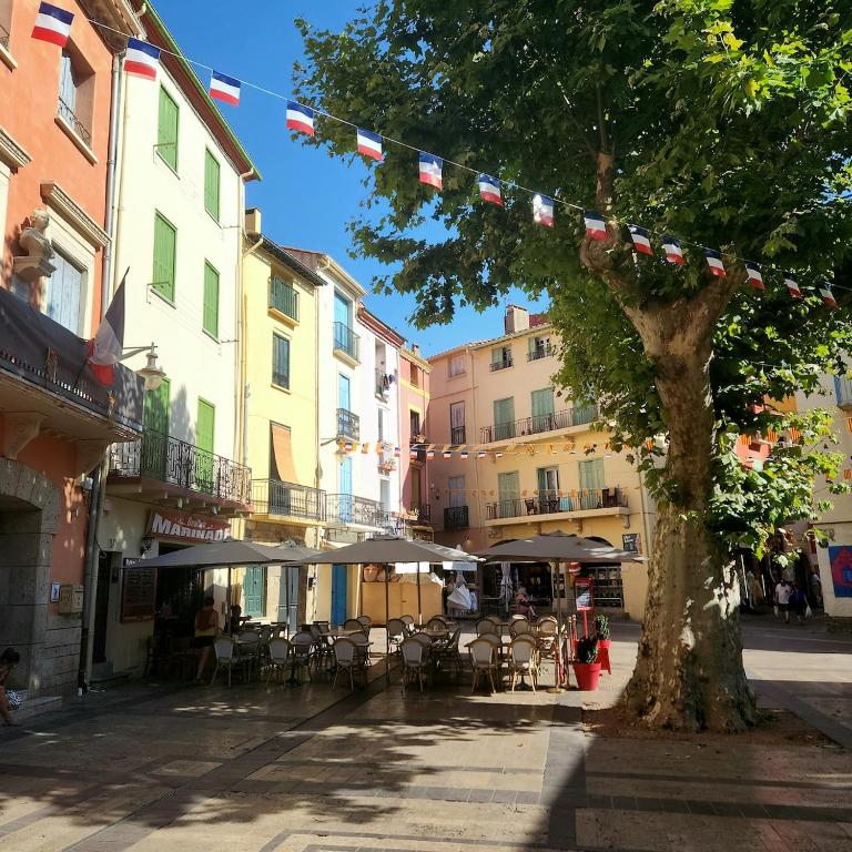 La crique appartement vue clocher Collioure - Apartamento de 1 dormitorio - 29