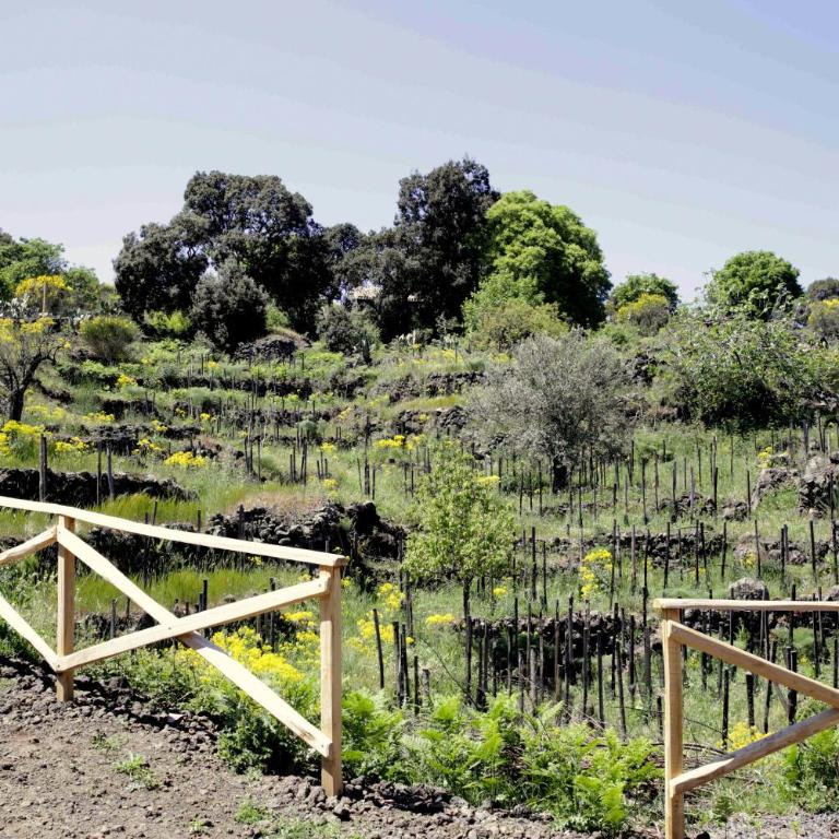 EcoAgriturismo Notti Stellate Etna Mare - Appartamento con Vista Mare - 28