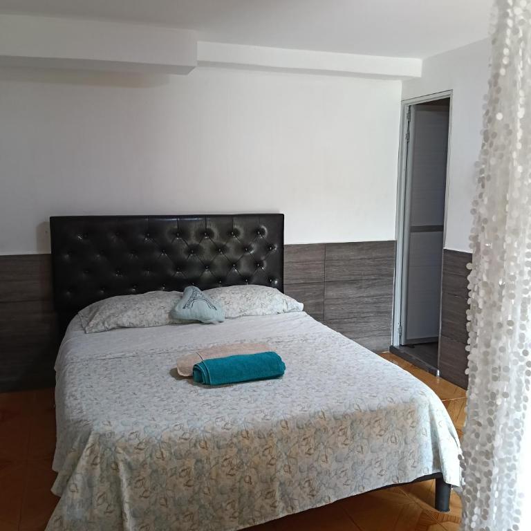 Casa Rosas - One-Bedroom Apartment - 8