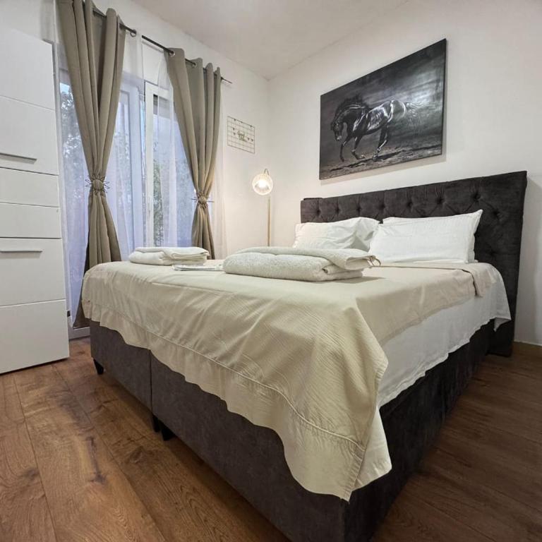 Spa Apartments Tivat - Apartman sa 1 Spavaćom Sobom - 12