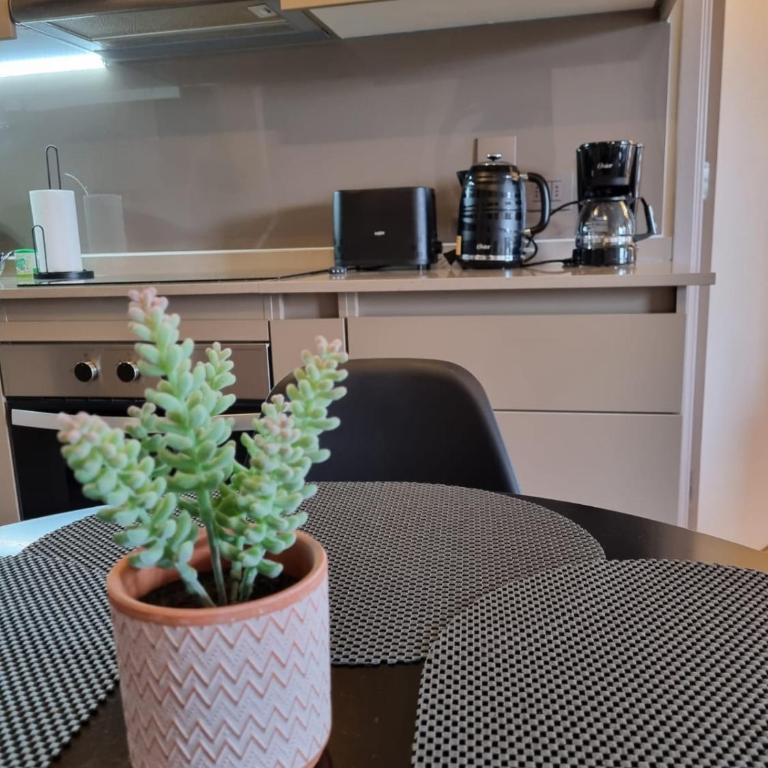 HOM I Acogedor Dpto 2D2B Frente al Lago Parking - Apartamento - 16