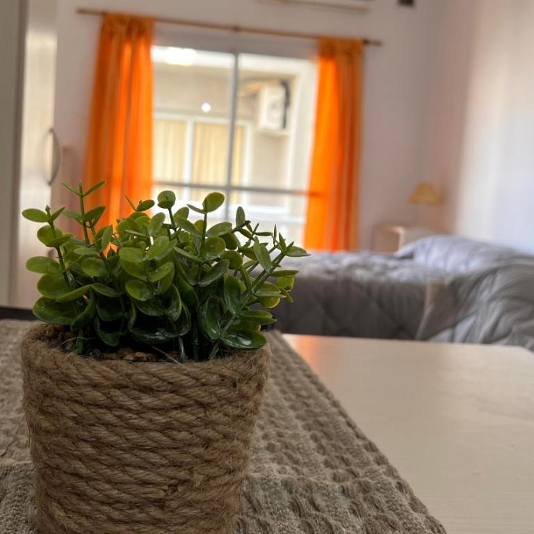 Gasti - Apartamento de 1 dormitorio - 2