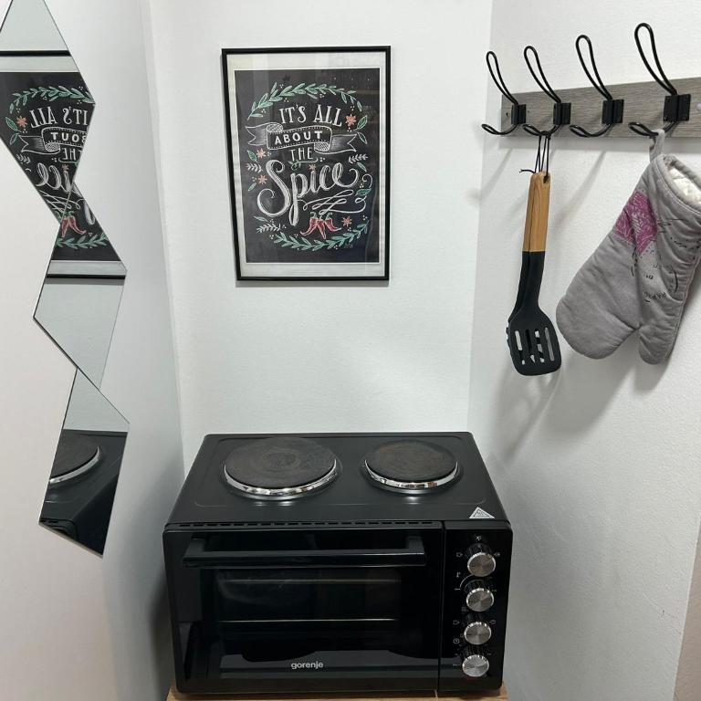 Apartman Nani - Secure and free parking space! - One-Bedroom Apartment - 10