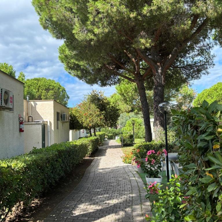 Ibiscus Beach Village - Camera Quadrupla - 5