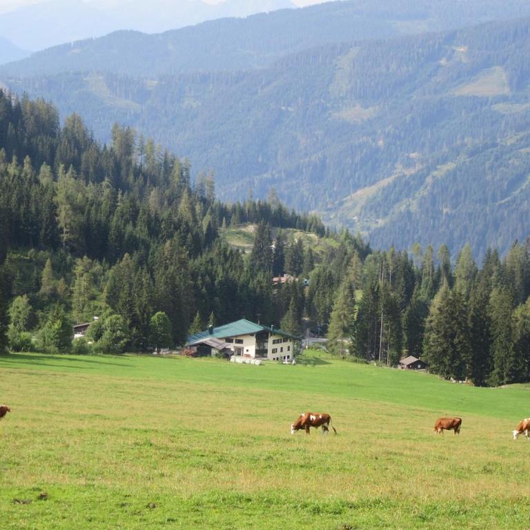 Hochkönig Top 6 - Apartment mit 3 Schlafzimmern und Balkon - 33