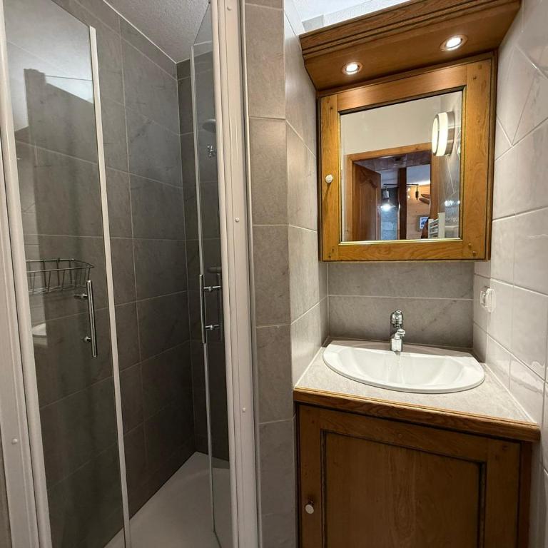 Appartement calme 2 chambres, accès rapide aux pistes, Les Saisies - FR-1-293-227 - Appartement (6 Adultes) - 12
