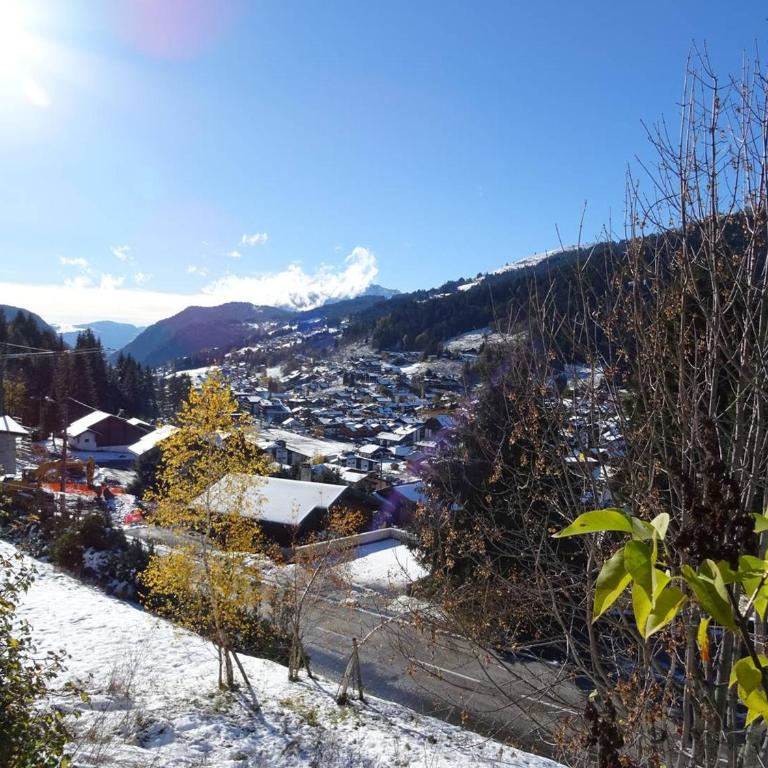 Les Gets Duplex 3P - 6 Pers, Confortable, Garage - FR-1-802-73 - Apartment - 19