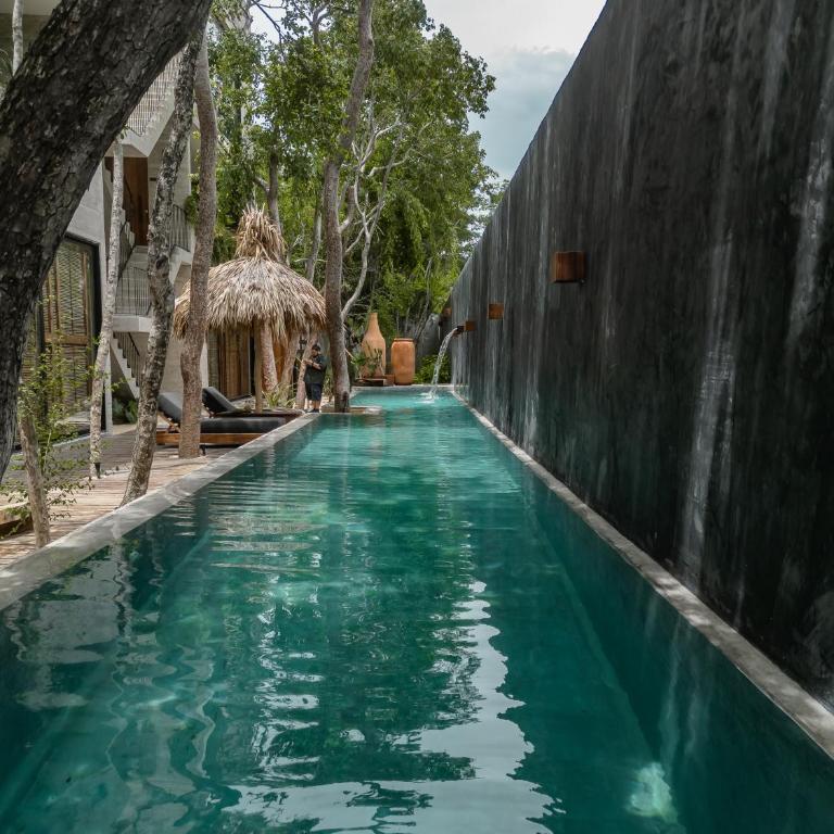 Kinich Nah - 2 BR Penthouse Rooftop and Pool Amazing Jungle View - Apartamento - 23