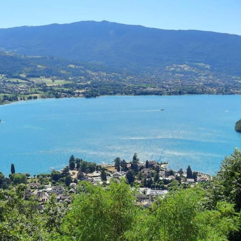 Appartement Cozy en rez de jardin avec Plage et Parking Privés au Bord du Lac d'Annecy - Appartement 1 Chambre - 55