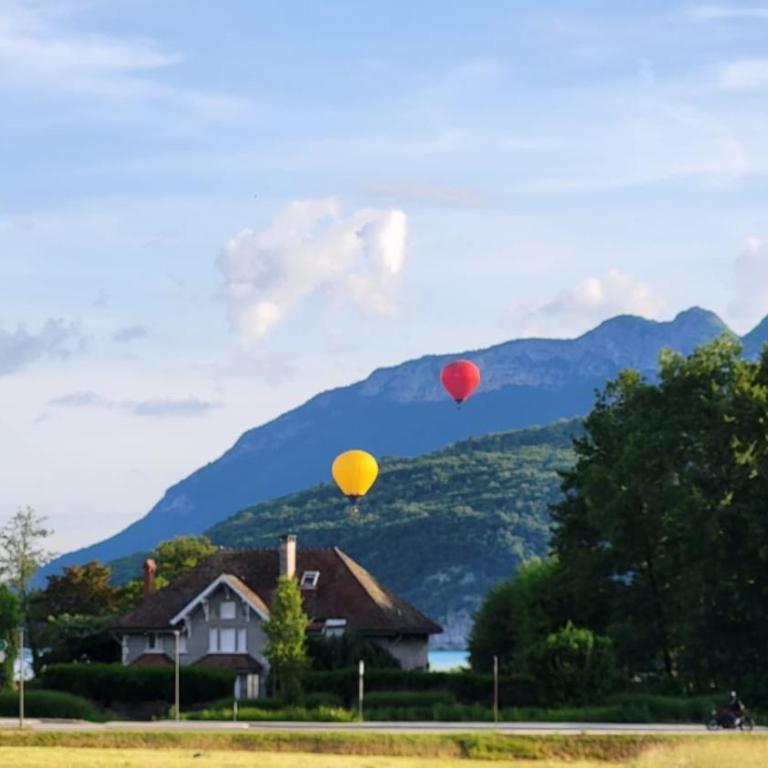 Appartement Cozy en rez de jardin avec Plage et Parking Privés au Bord du Lac d'Annecy - Appartement 1 Chambre - 57