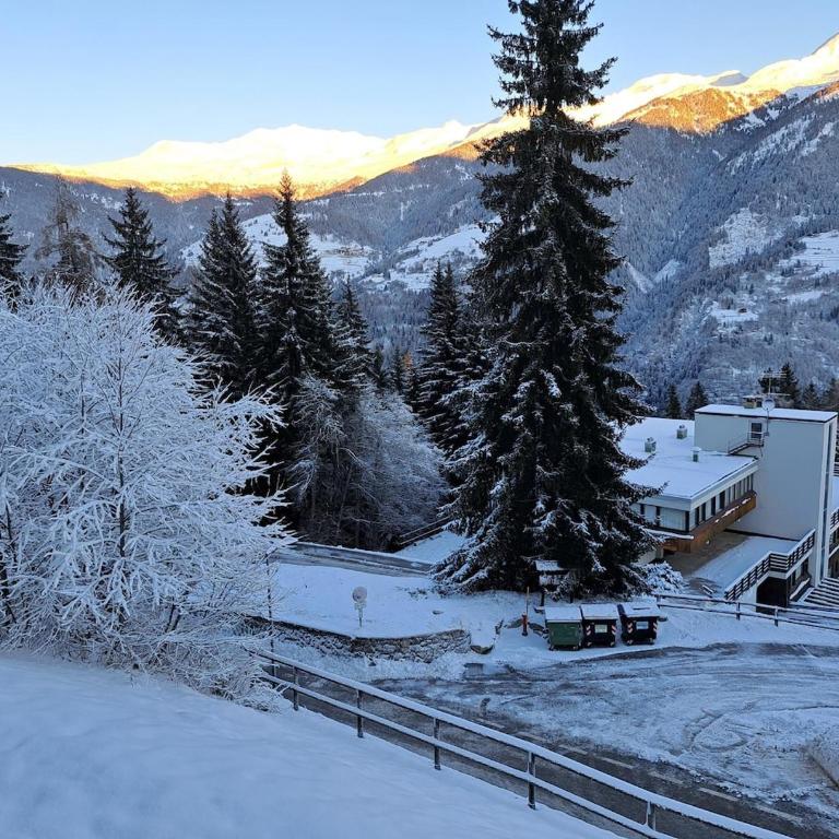 The View - Monolocale direttamente sulle piste con Vista - Appartamento con 1 Camera da Letto - 4