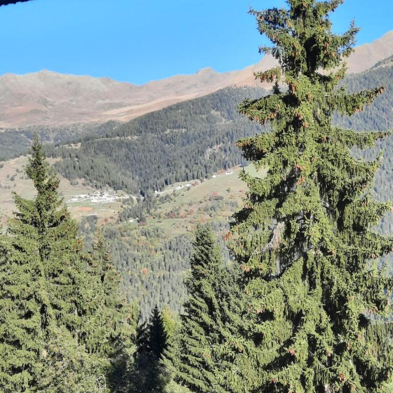 The View - Monolocale direttamente sulle piste con Vista - Appartamento con 1 Camera da Letto - 31
