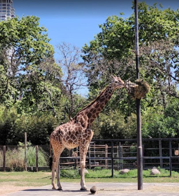 2 ambientes en Palermo - Estudio Estándar - 6