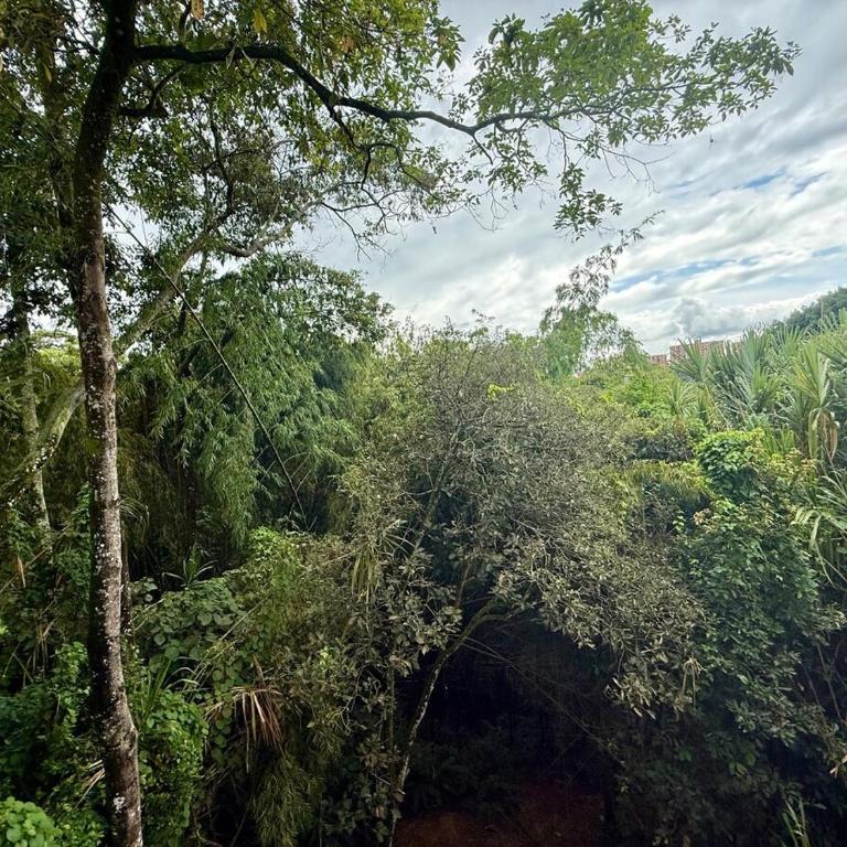 GURUS FR Luminoso Amplio Cómodo en excelente ubicación - Apartamento de 2 dormitorios - 2