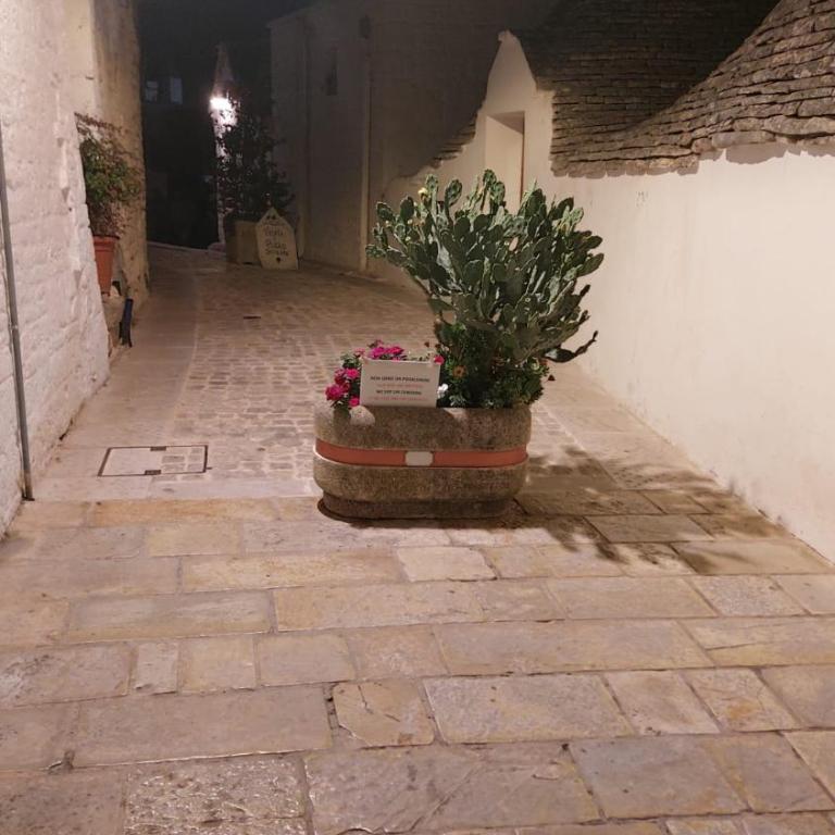 VIALI Guest House - Casa con 1 Camera da Letto - 34