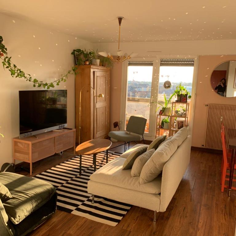 Petit nid strasbourgeois - Appartamento con 1 Camera da Letto - 12