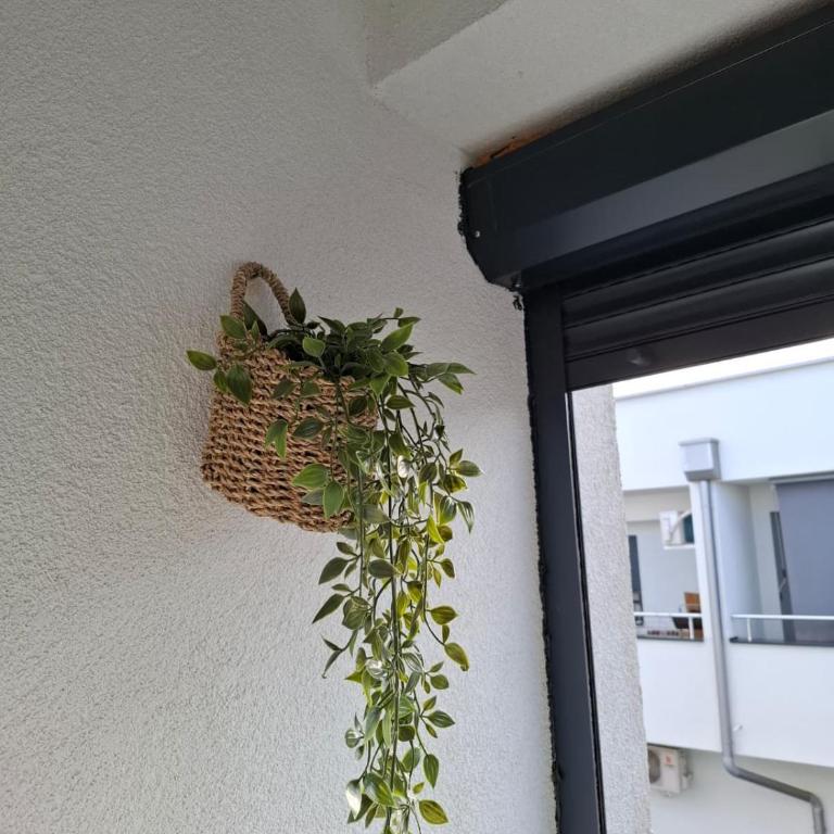 Apartman Dora - Apartman sa 1 Spavaćom Sobom - 12