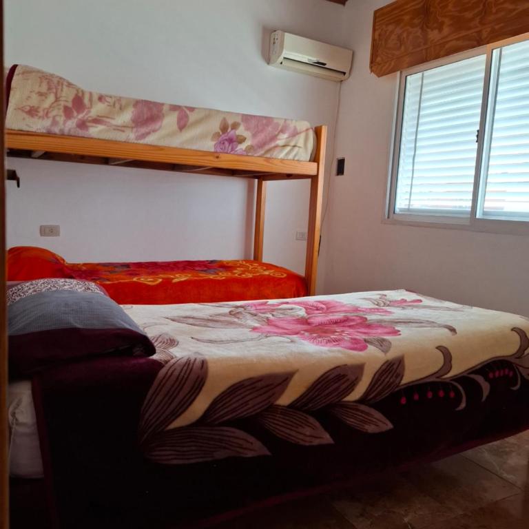 Casa cdelu 2 habitaciones - Casa con 1 dormitorio - 5