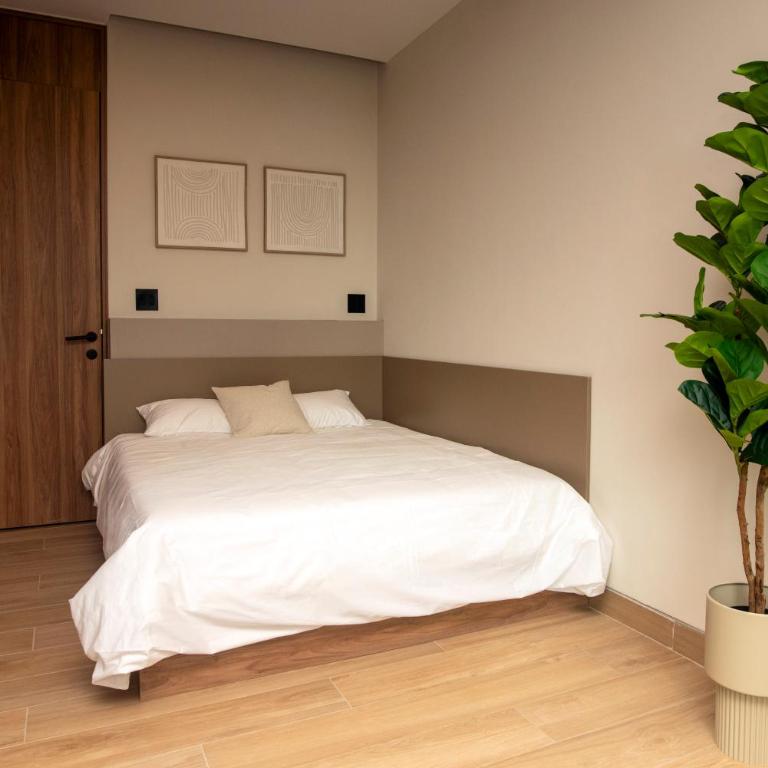 Comfortable Apartment Near Expo Guadalajara Parking & WiFi - Apartamento de 2 dormitorios - 7