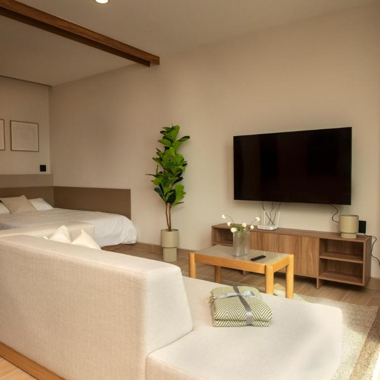 Comfortable Apartment Near Expo Guadalajara Parking & WiFi - Apartamento de 2 dormitorios - 1