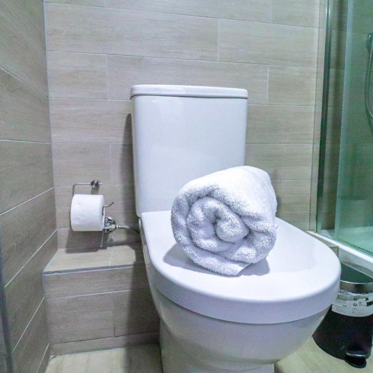 HOM I Acogedor Depto 1D1B 3PAX Puerto Varas Parking - Apartamento - 19