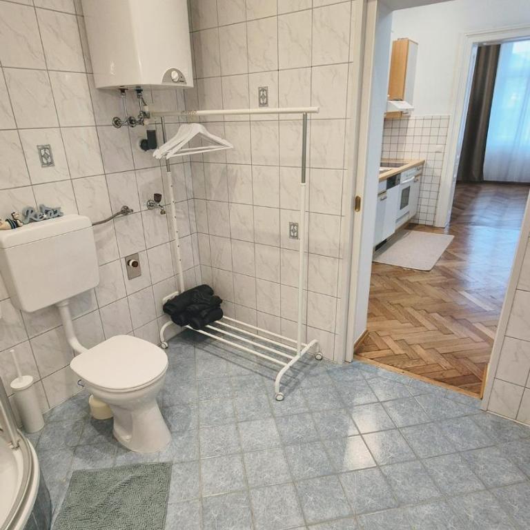 Villa Ohrenstein - Komfort Suite - Suite-Apartment - 10