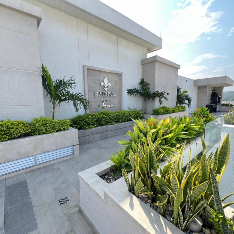 Central Suite - Apartamento de 2 dormitorios - 18