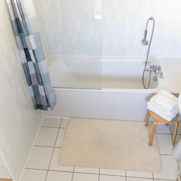 Duplex cosy- proche centre ville - Appartement 1 Chambre - 5