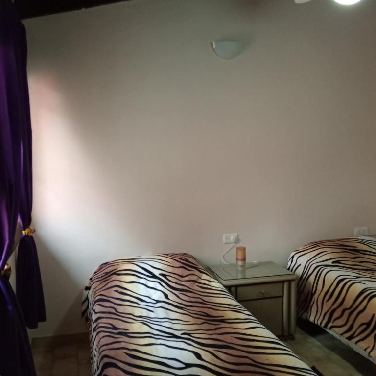 Bosque - Casa de 2 dormitorios - 12