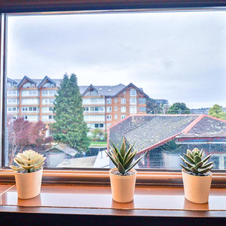 HOM I Amplio Dpto con Piscina y Estacionamiento Privado - Apartamento - 84