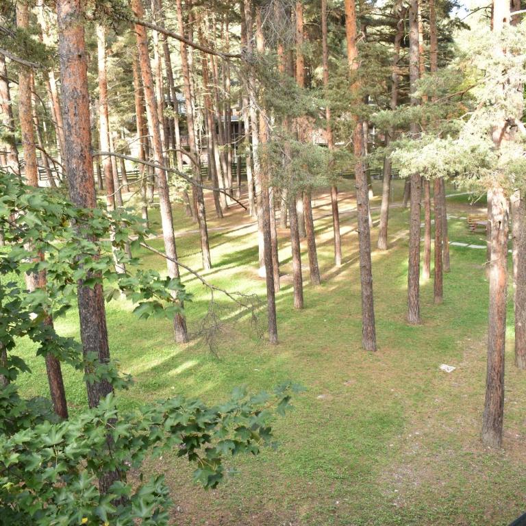 Appartamento LA MARMOTTA - Appartamento con 3 Camere da Letto - 23