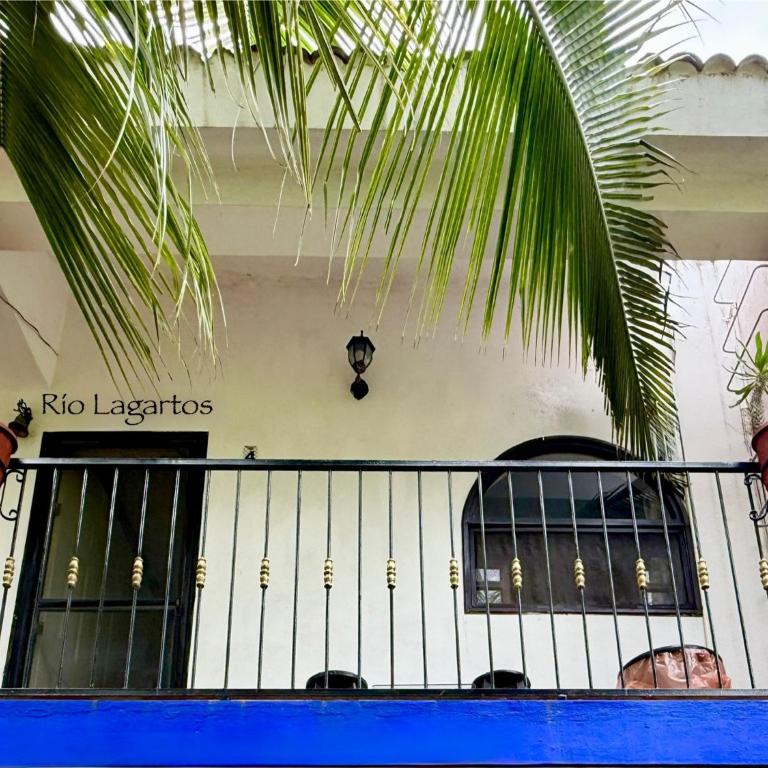 La Casa del Árbol - Estudio con balcón - 1