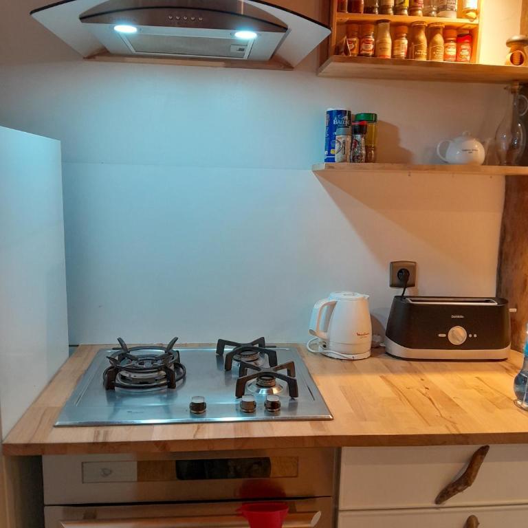 Y'Hôtes Le Colombier, havre de paix en Haute-Savoie - Chalet 1 Chambre - 12