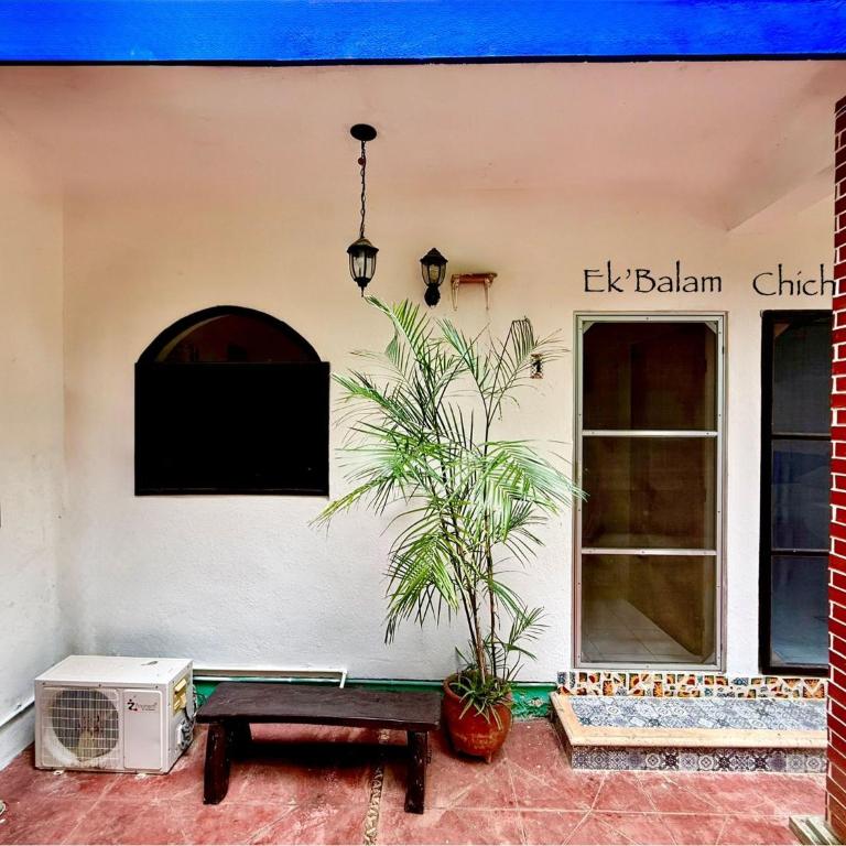 La Casa del Árbol - Estudio Familiar - 5