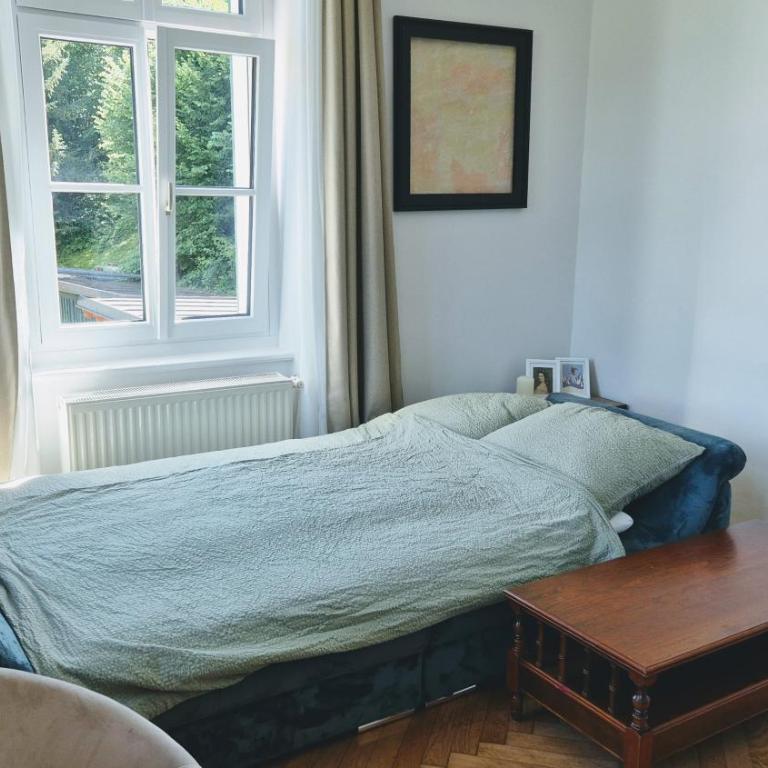 Villa Ohrenstein - Komfort Suite - Suite-Apartment - 6
