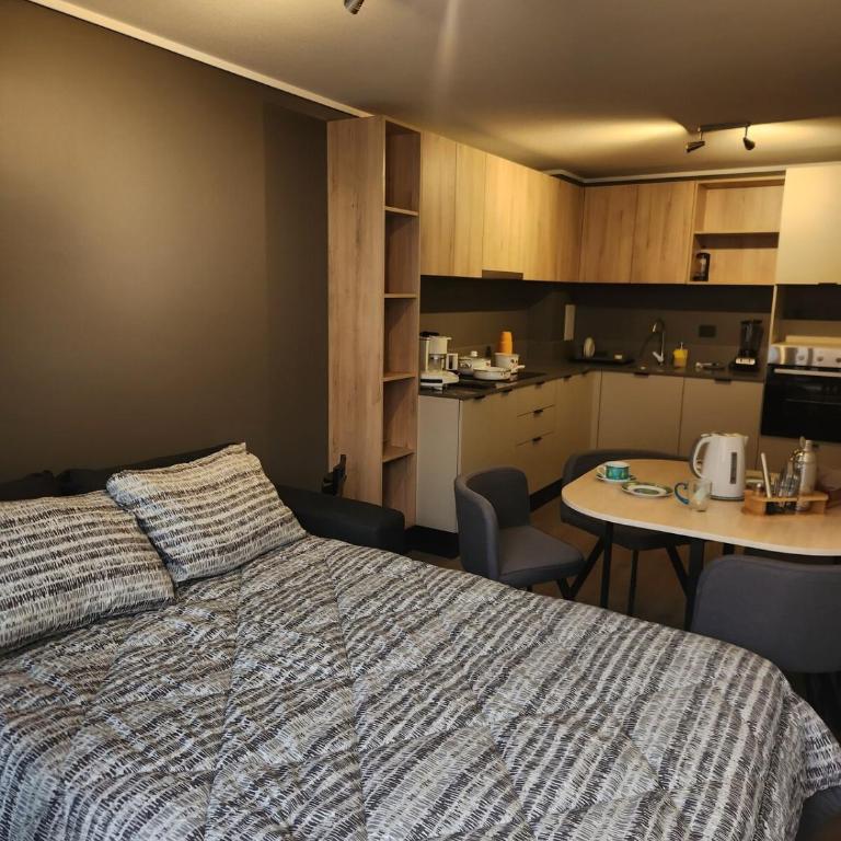 Departamento en zona turistica, Metro Santa Ana - Two-Bedroom Apartment - 15